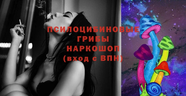 2c-b Белокуриха
